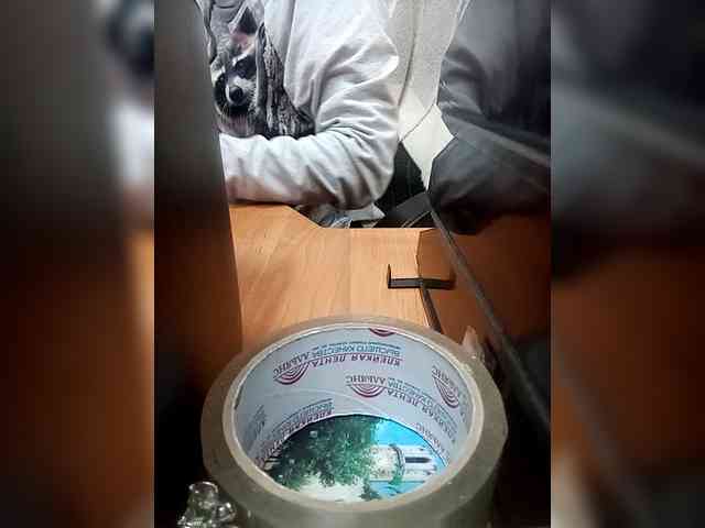 Molii-Molii35 webcam