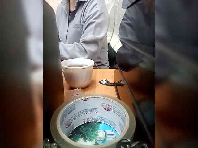 Molii-Molii35 webcam