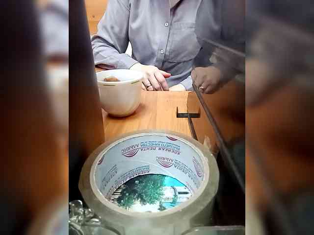 Molii-Molii35 webcam