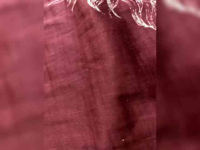 Molii-Molii35 webcam