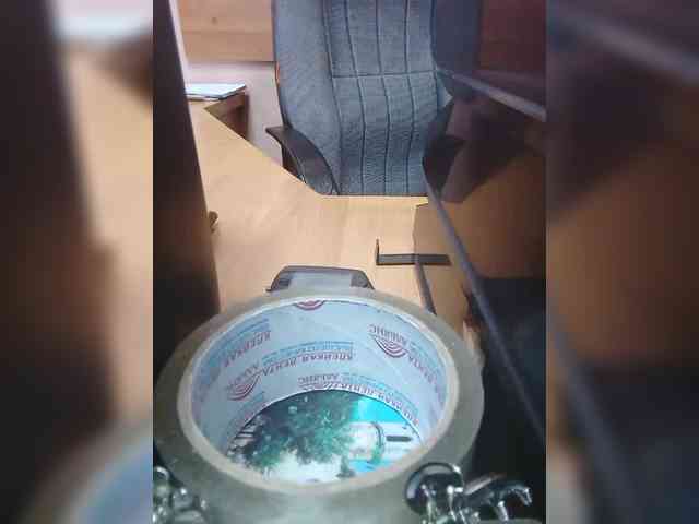 Molii-Molii35 webcam