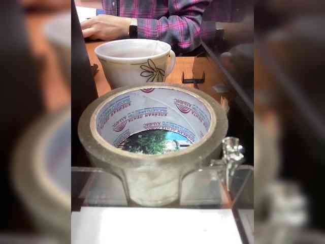 Molii-Molii35 webcam