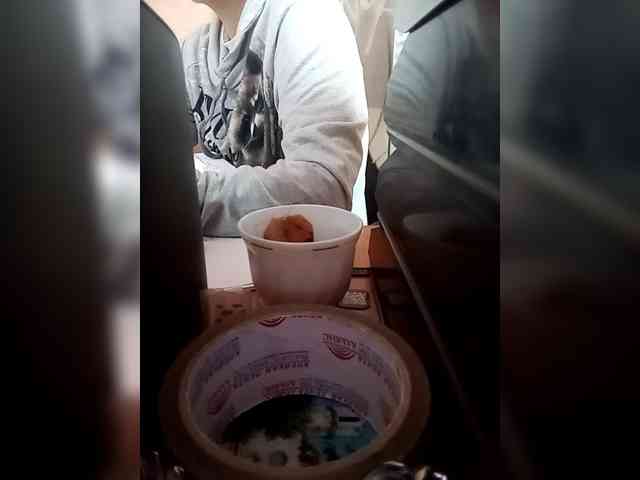 Molii-Molii35 webcam