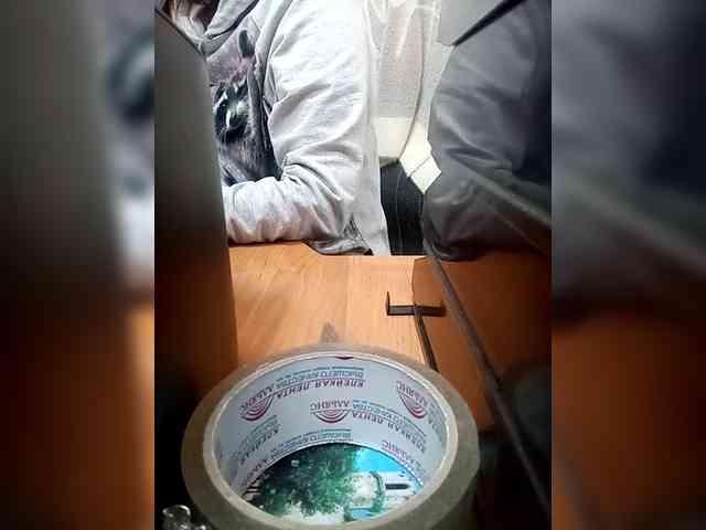 Molii-Molii35 webcam