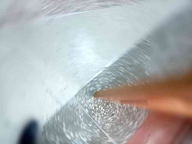 Molii-Molii35 webcam