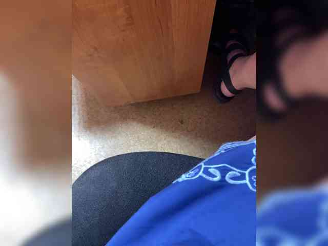 Molii-Molii35 webcam
