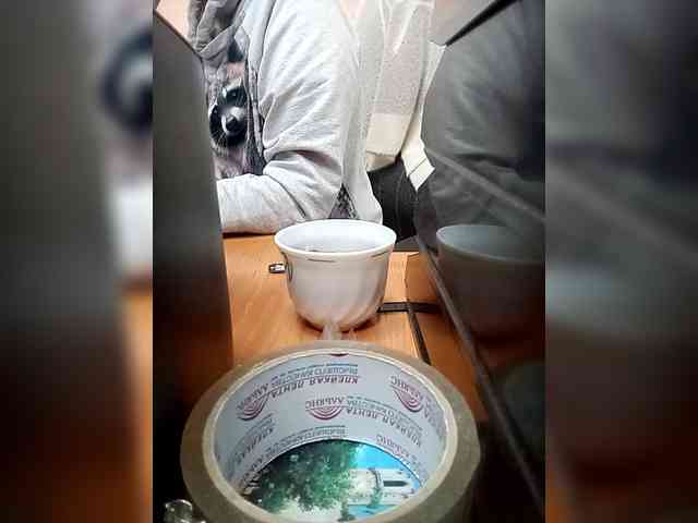 Molii-Molii35 webcam