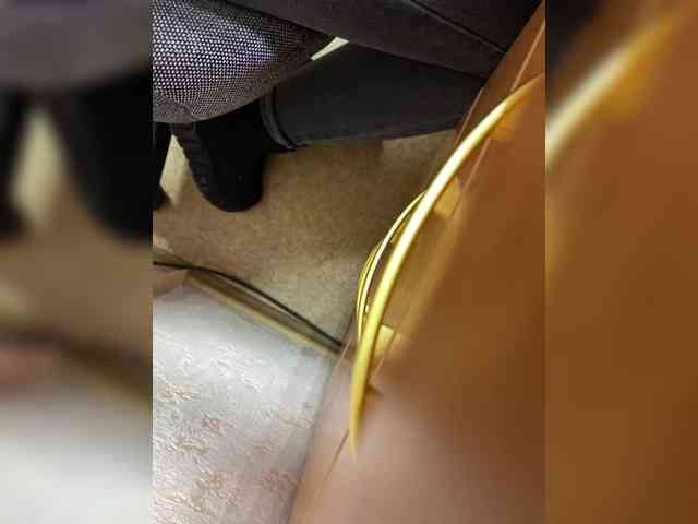 Molii-Molii35 webcam