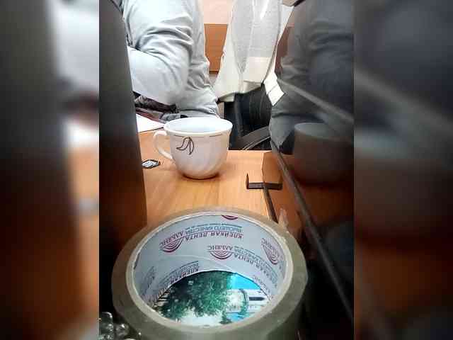 Molii-Molii35 webcam