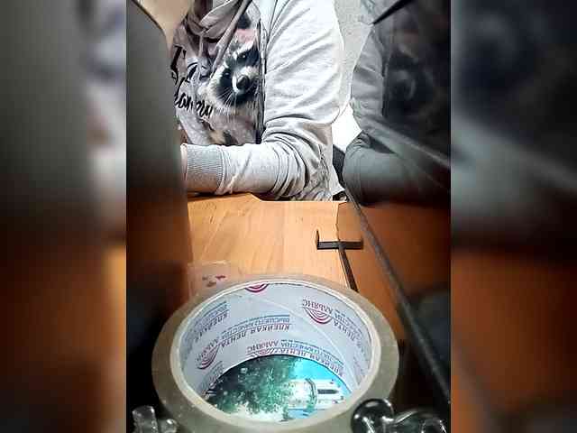 Molii-Molii35 webcam