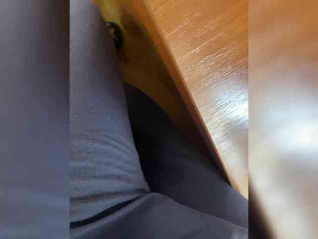 Molii-Molii35 webcam