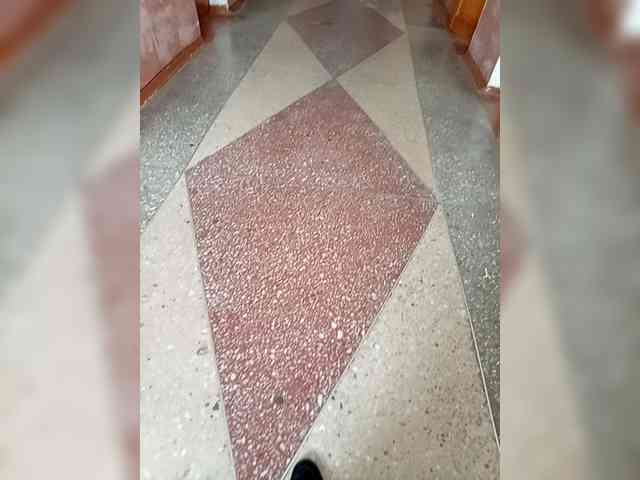 Molii-Molii35 webcam