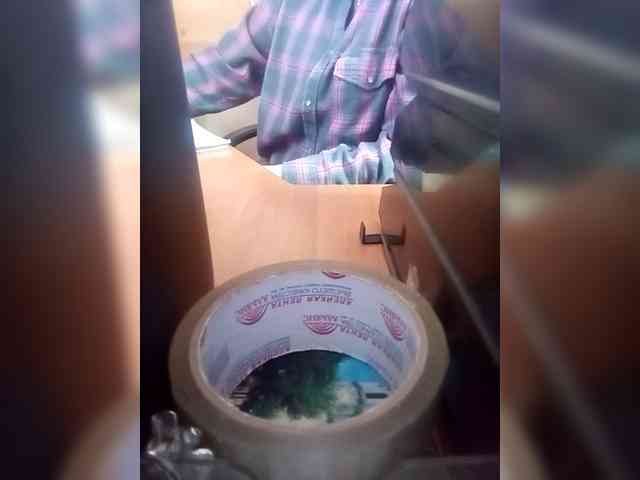 Molii-Molii35 webcam