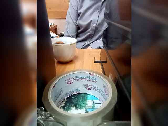 Molii-Molii35 webcam