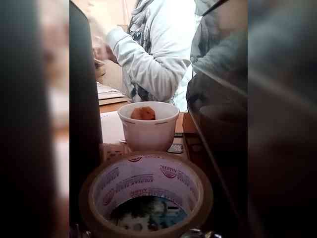 Molii-Molii35 webcam