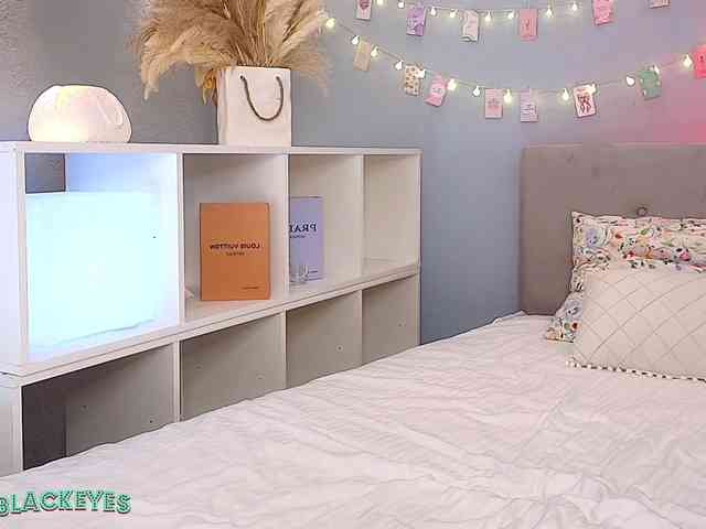 MiyaEvan webcam