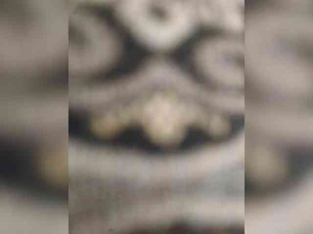 IqraQueen webcam