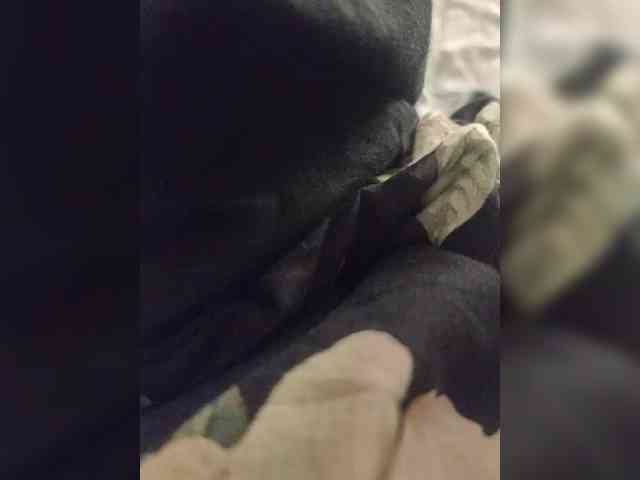IqraQueen webcam