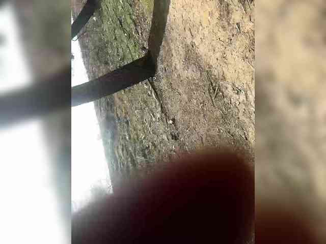 Ikmikmikm Live Webcam on BongaCams