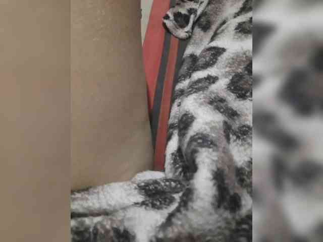 SexySuka84 webcam