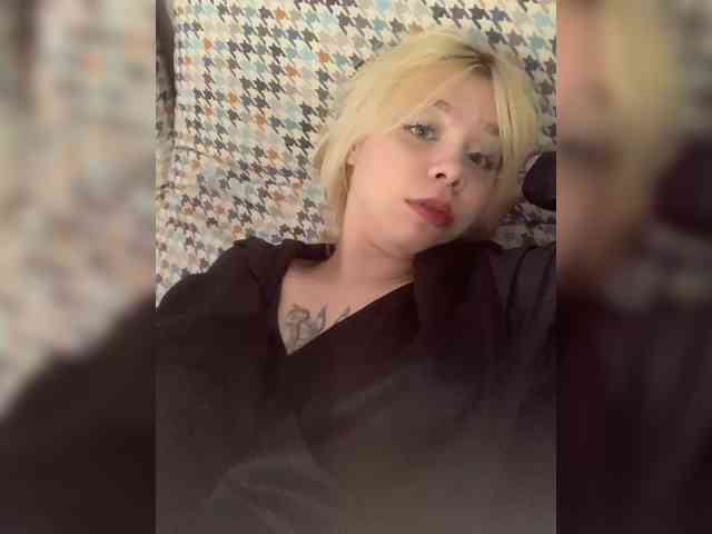 blueberry_pie webcam