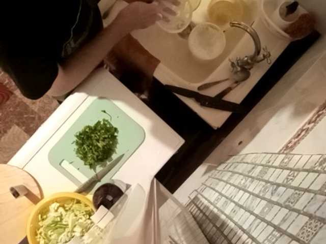 -Sasha-kot-