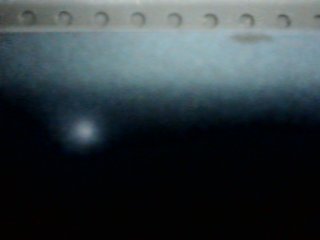 CANDYSWEET8 Porn Show