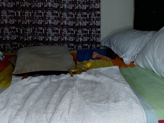 Blissloves Porn Show