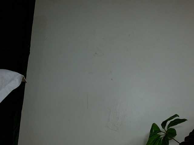 Blissloves's BongaCams show and profile