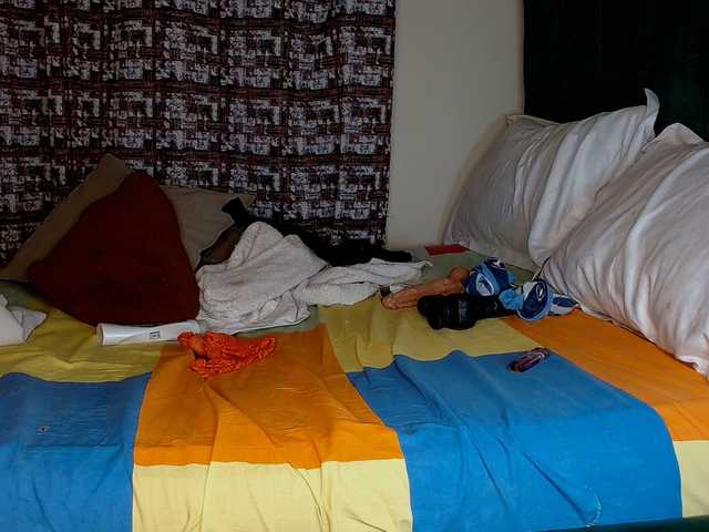 Blissloves's BongaCams show and profile