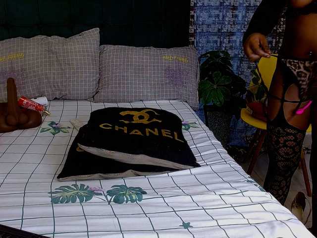 Blissloves's BongaCams show and profile