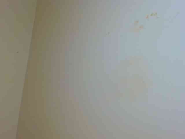 Blissloves webcam