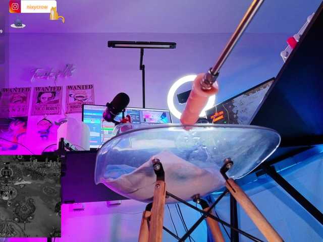 Nixycrow11 live cam