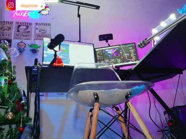 Nixycrow11 webcam