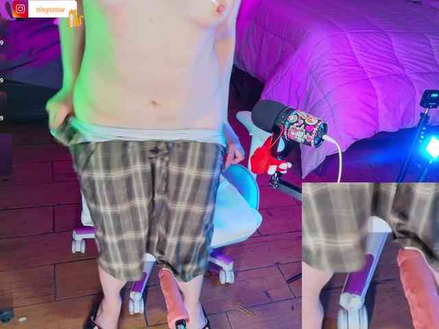 Nixycrow11 webcam