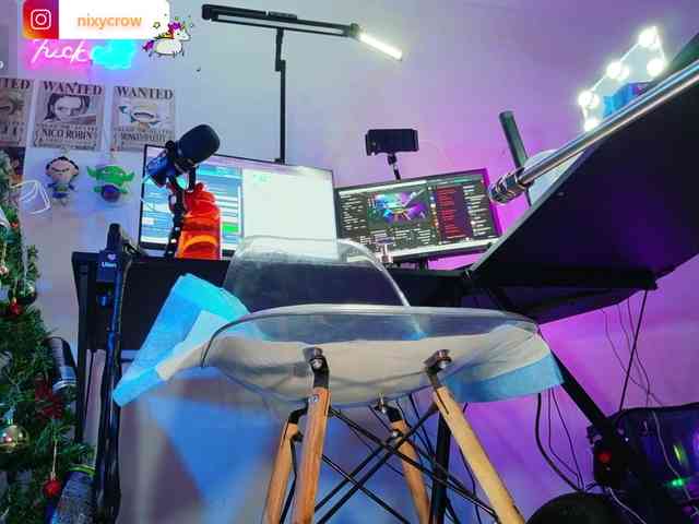 Nixycrow11 webcam