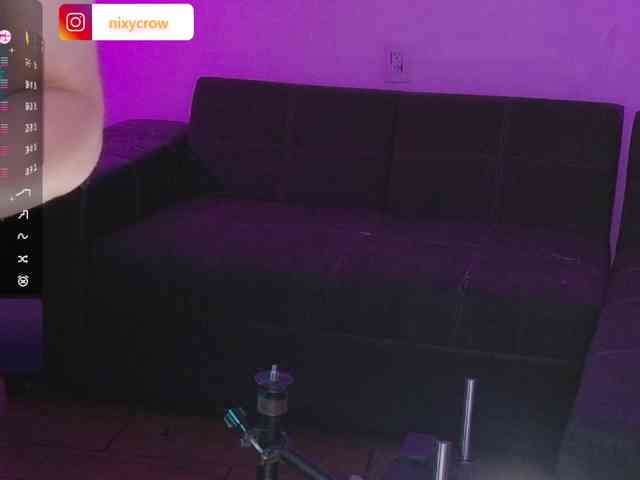 Nixycrow11 webcam