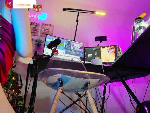 Nixycrow11 webcam
