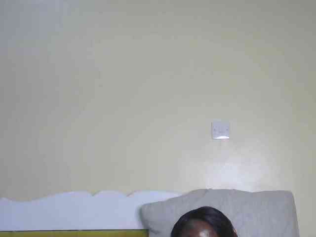 BradBubble webcam