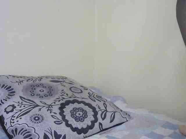 BradBubble webcam