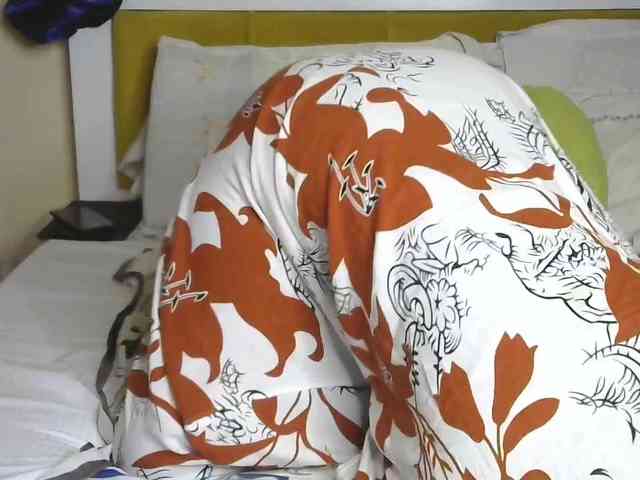 BradBubble webcam
