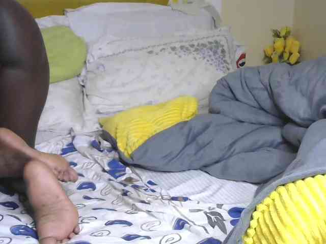 BradBubble webcam