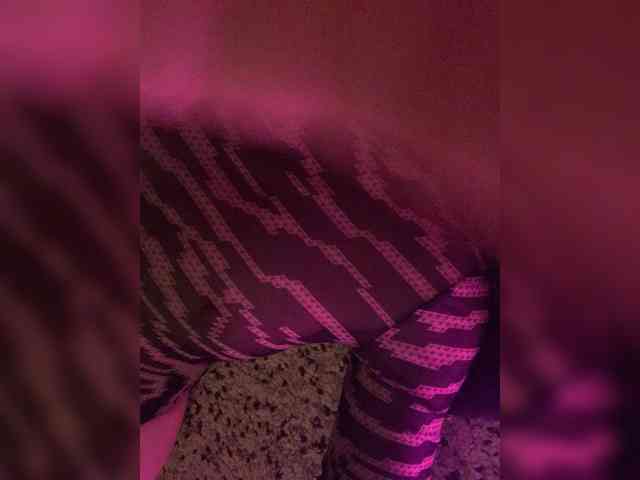 FeeBee webcam