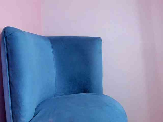 shelsy-20 webcam