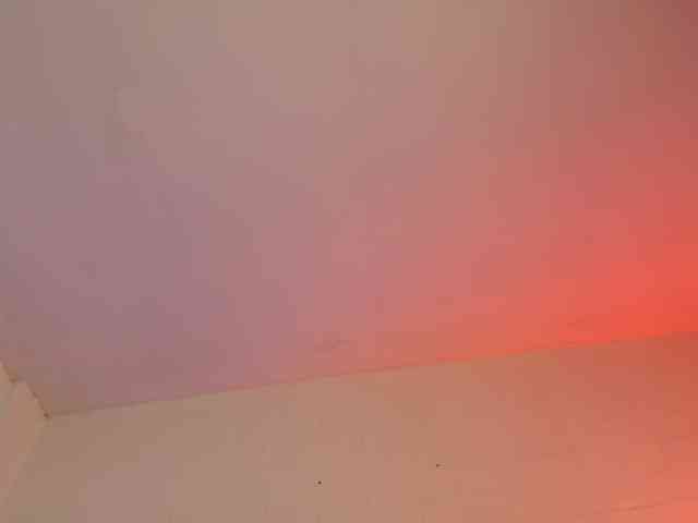 AxellKush Live Webcam on BongaCams