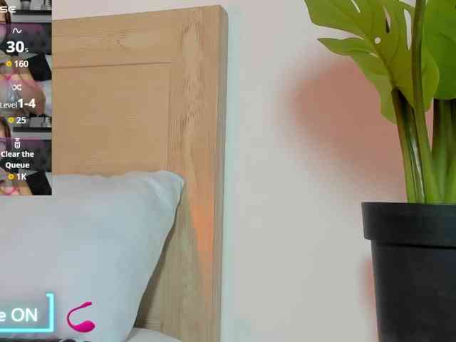 enma-30 webcam