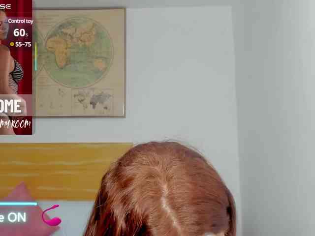 enma-30 webcam