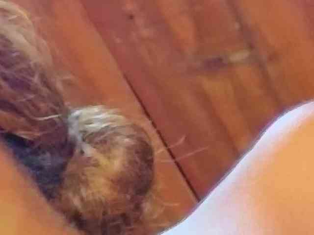 choco-priincess18 webcam