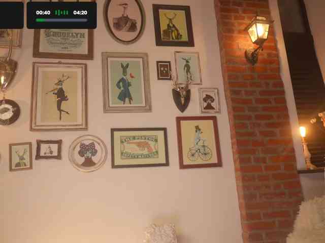 -KT23 webcam