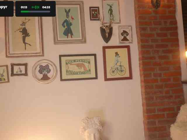 -KT23 webcam